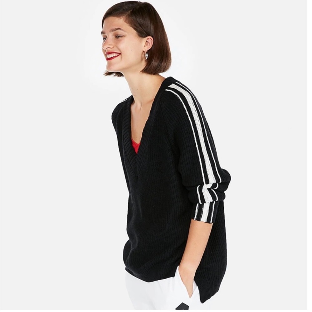 Express V-Neck Sweater